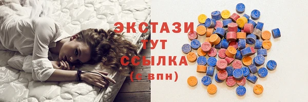 гидра Вязьма