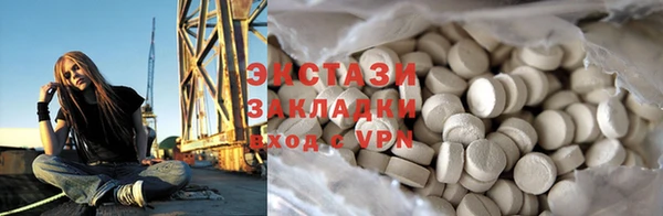 гидра Вязьма