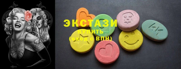 гидра Вязьма