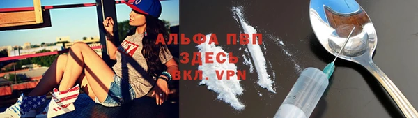 тгк Вяземский