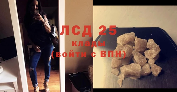 гидра Вязьма