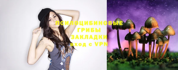 гидра Вязьма