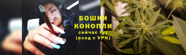 гидра Вязьма
