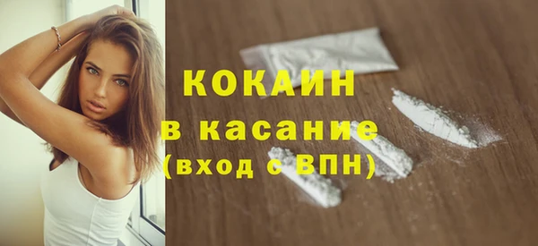 гидра Вязьма