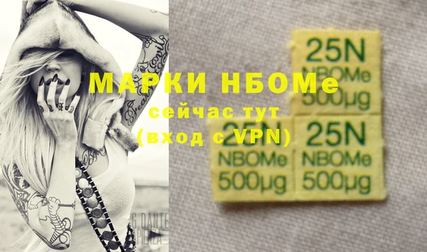 гидра Вязьма