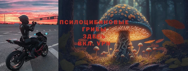 гидра Вязьма